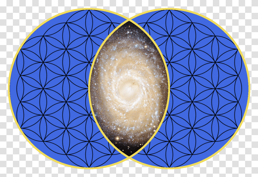 Flower Of Life Sacred Geometry 33 We In The Universe, Pattern, Pottery, Ornament, Egg Transparent Png