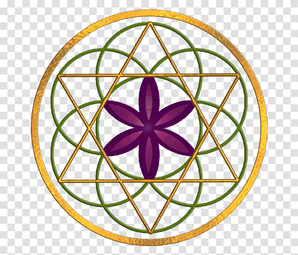 Flower Of Life Star Of David, Ornament, Pattern, Fractal Transparent Png