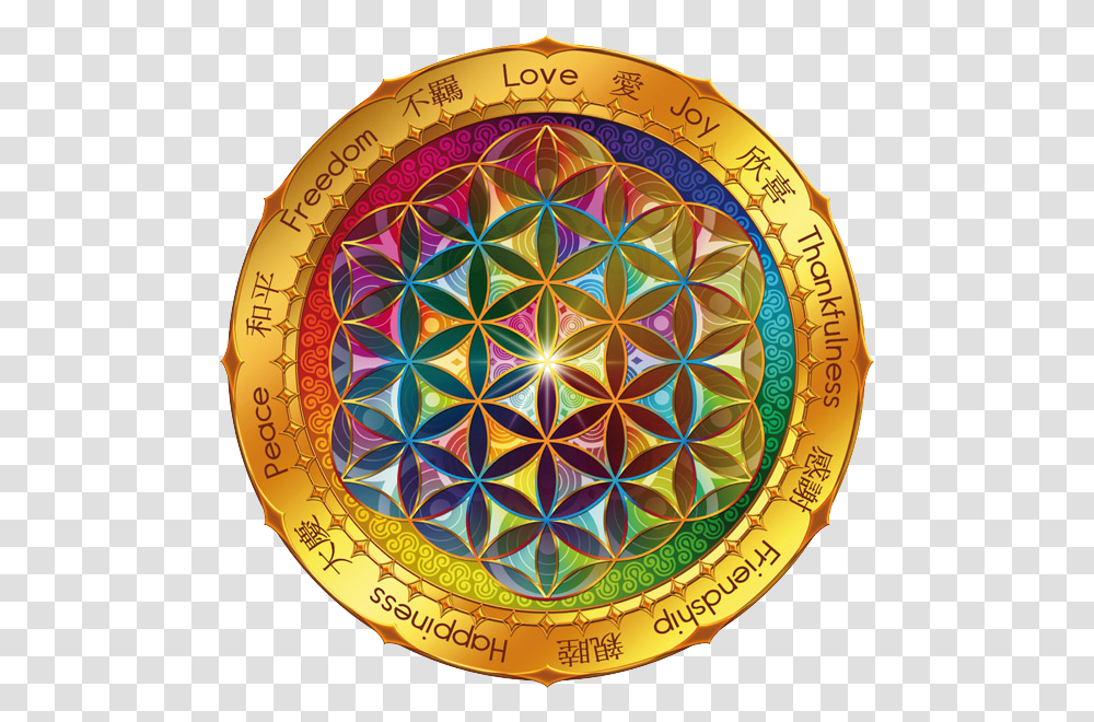 Flower Of Life Wallpaper Picserio Mandala De La Vida Hd, Pattern, Art, Rug, Gold Transparent Png