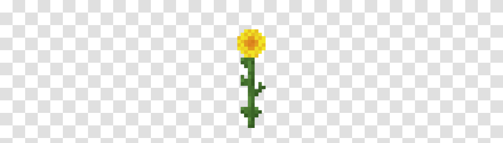Flower Official Minecraft Wiki, Cross, Plant, Vegetation Transparent Png