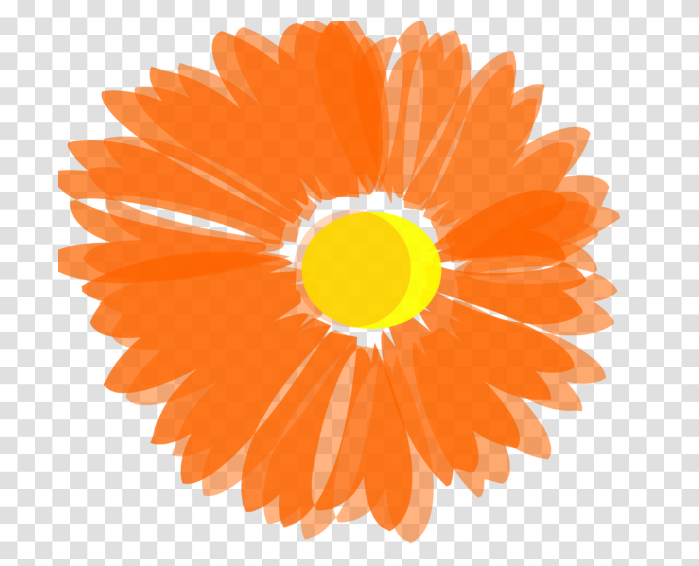 Flower Orange Blossom Computer Icons Floral Design, Plant, Hibiscus, Anther, Poppy Transparent Png
