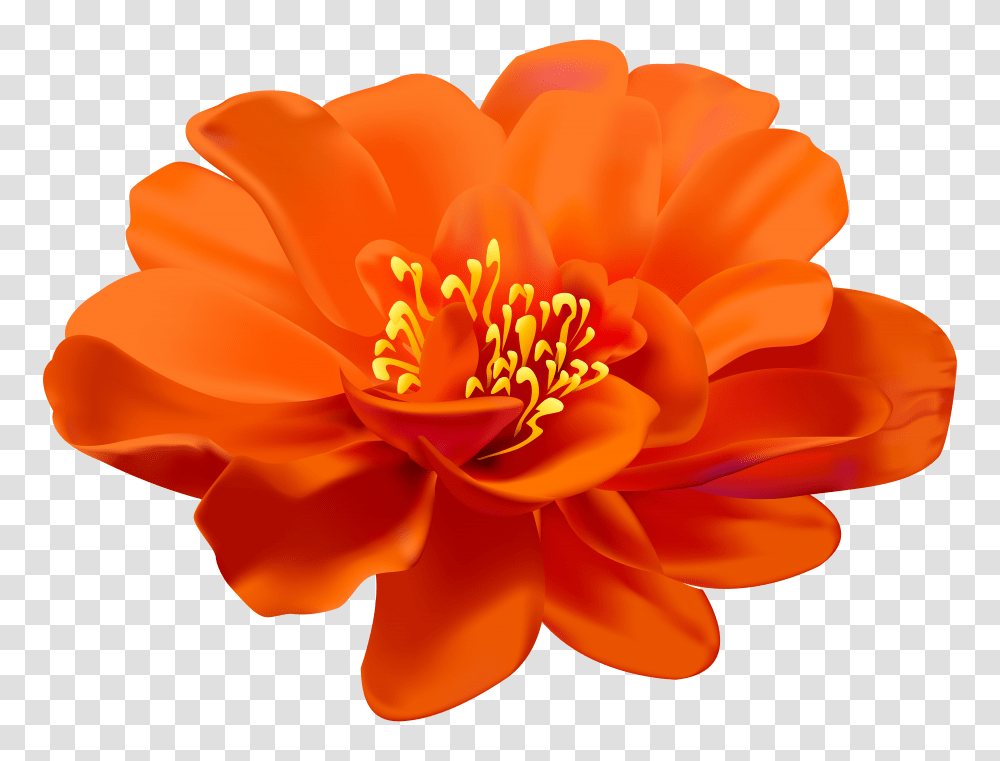 Flower Orange Clip Art Gallery Transparent Png