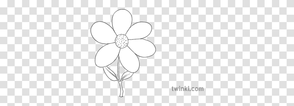 Flower Outline Black And White Line Art, Lamp, Daisy, Plant, Daisies Transparent Png