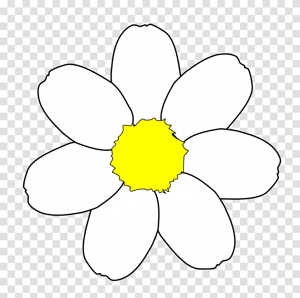 Flower Outline Clip Art Free, Plant, Blossom, Lamp, Daisy Transparent ...