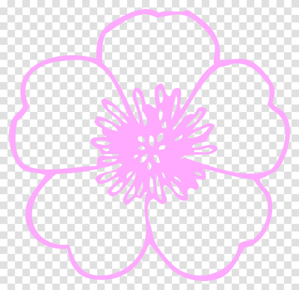Flower Outline Image, Plant, Blossom, Petal, Hibiscus Transparent Png