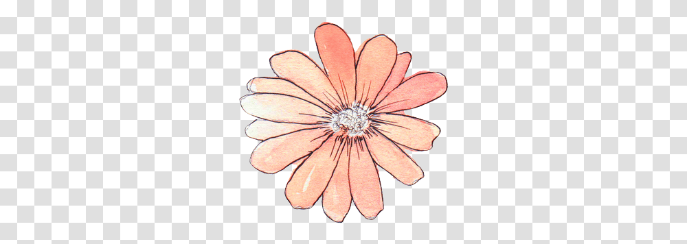 Flower Overlay Free For Sticker Flower Aesthetic, Plant, Blossom, Jewelry, Accessories Transparent Png