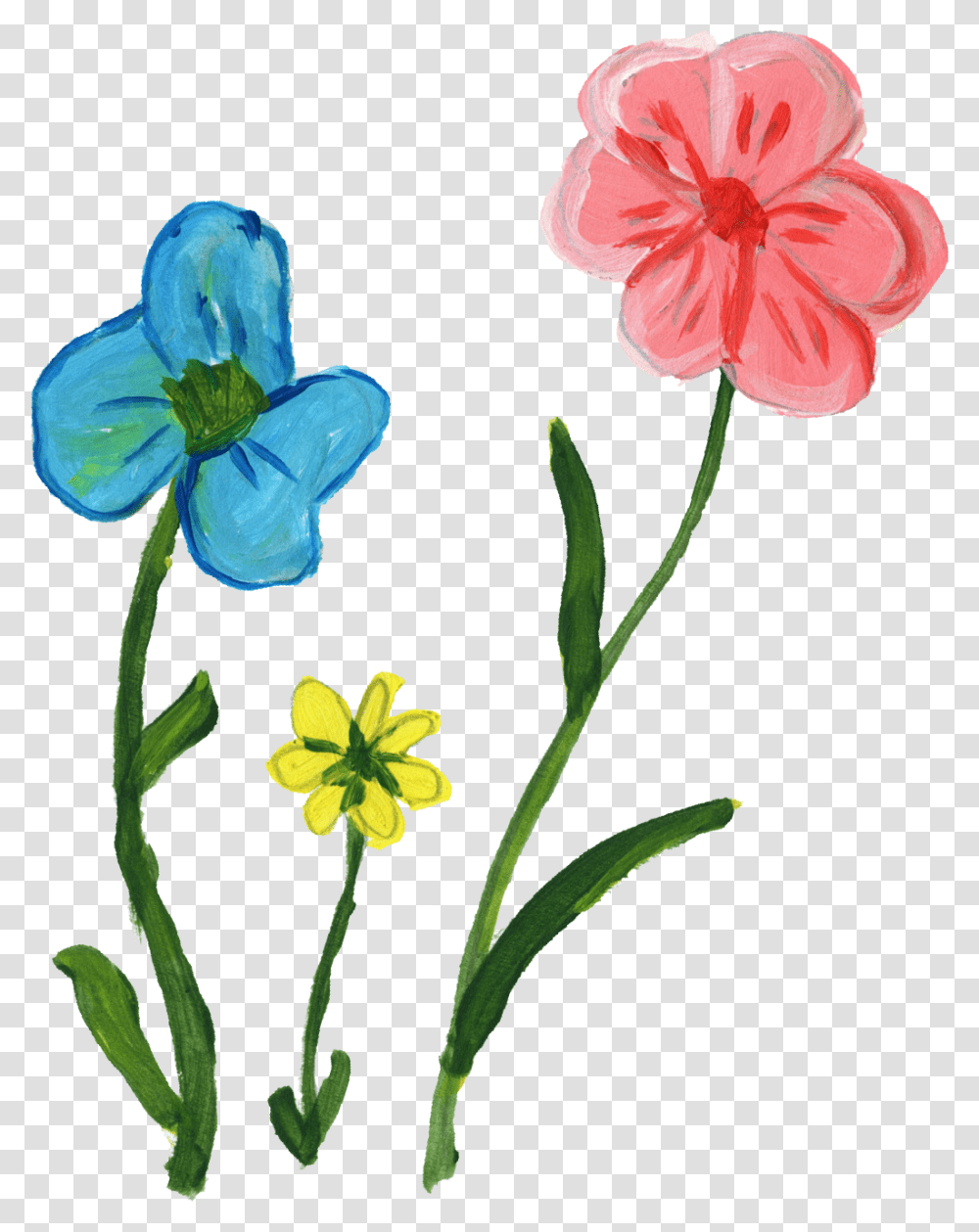 Flower Paint Free, Plant, Blossom, Geranium, Petal Transparent Png