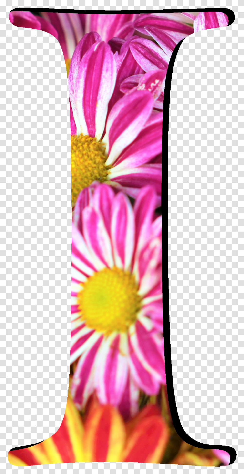 Flower Pattern Letters I Vase, Plant, Daisy, Petal, Pollen Transparent Png