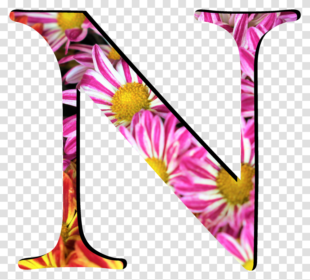 Flower Pattern Letters N Flower Pattern Letter O, Clothing, Purple, Outdoors, Nature Transparent Png
