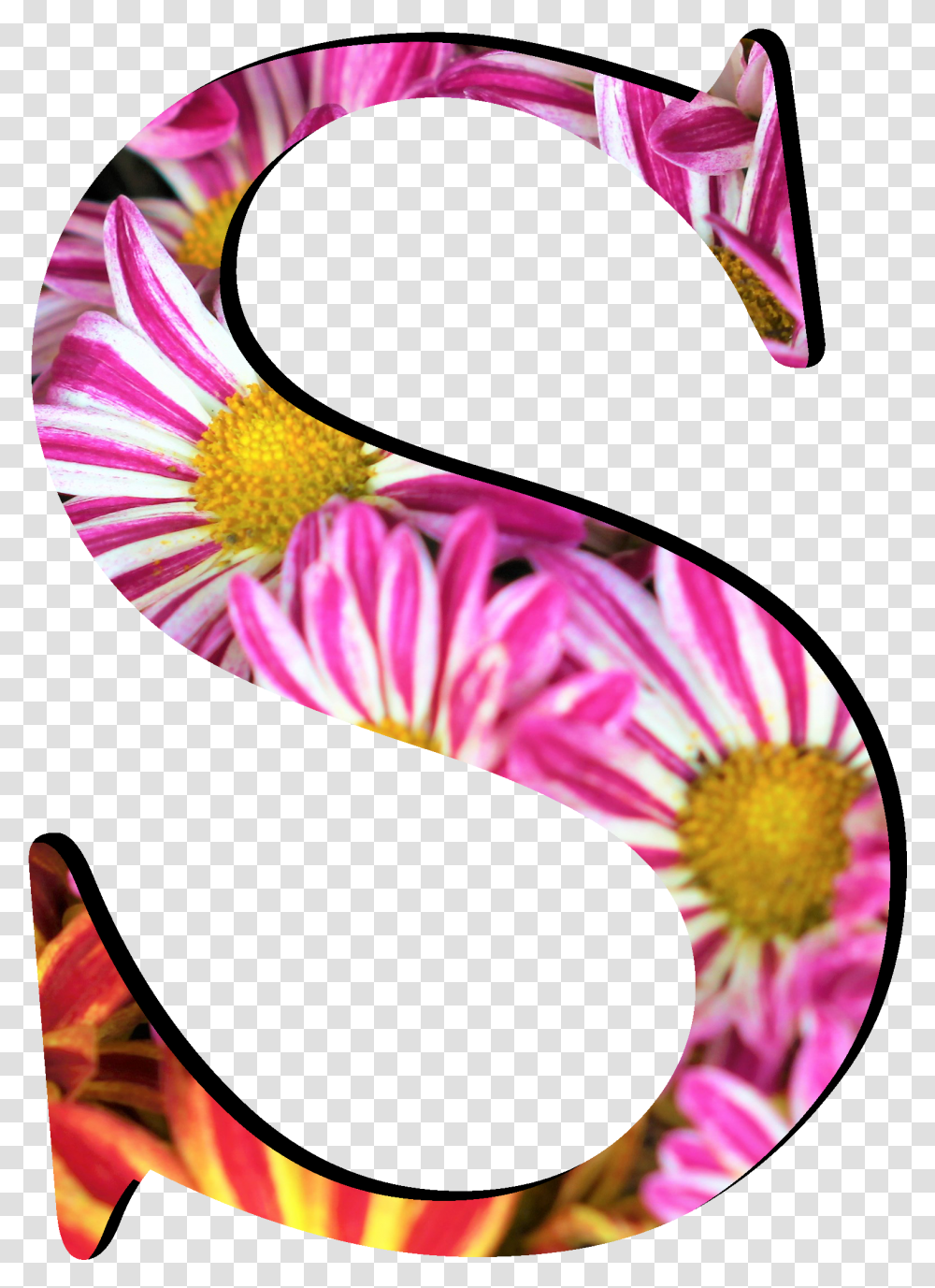 Flower Pattern Letters S Letter S Pink Flower, Plant Transparent Png