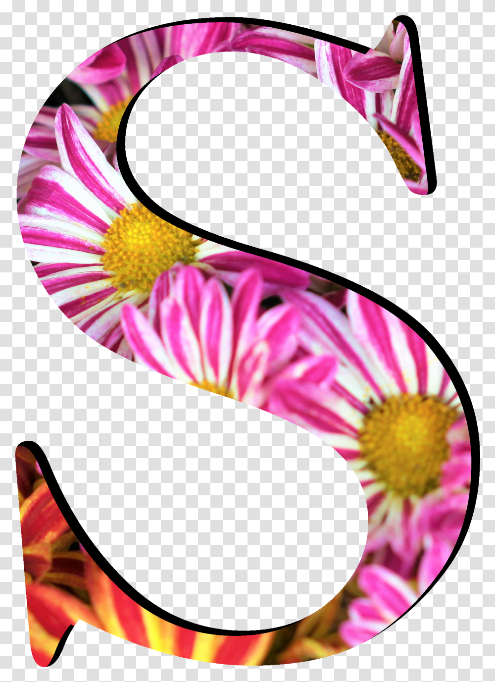 Flower Pattern Letters S Number, Graphics, Art, Clothing, Plant Transparent Png