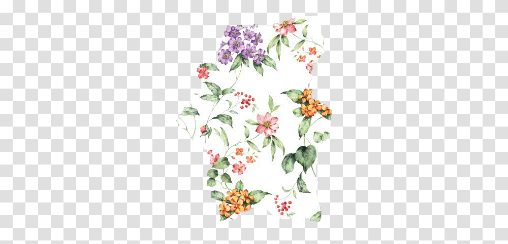 Flower Pattern Ripped, Floral Design, Plant Transparent Png