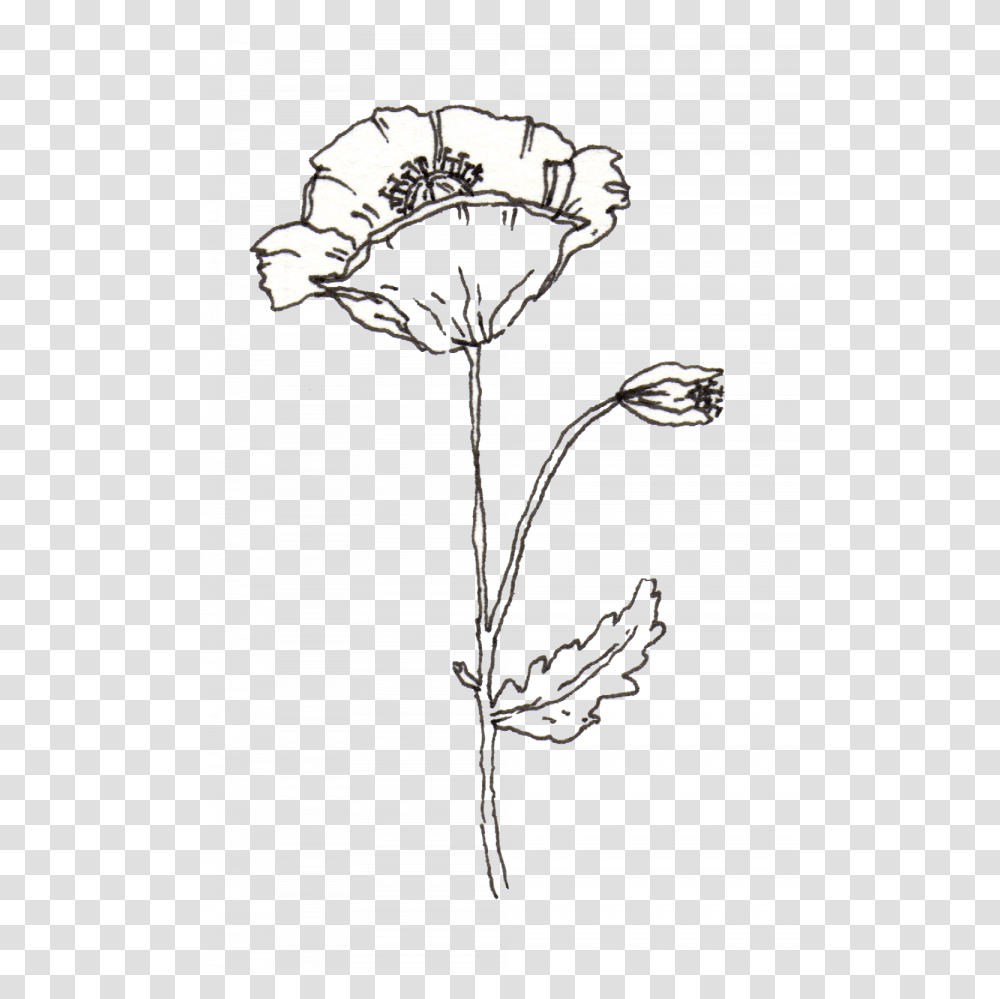 Flower Pen Images - Free Vector Pen Flower, Plant, Blossom, Light, Lamp Transparent Png