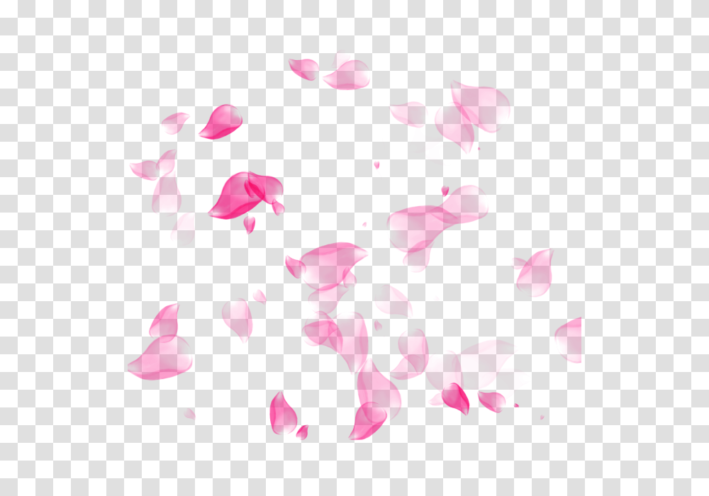 Flower Petal Flower Petal And For Free Download, Plant, Blossom, Stain Transparent Png
