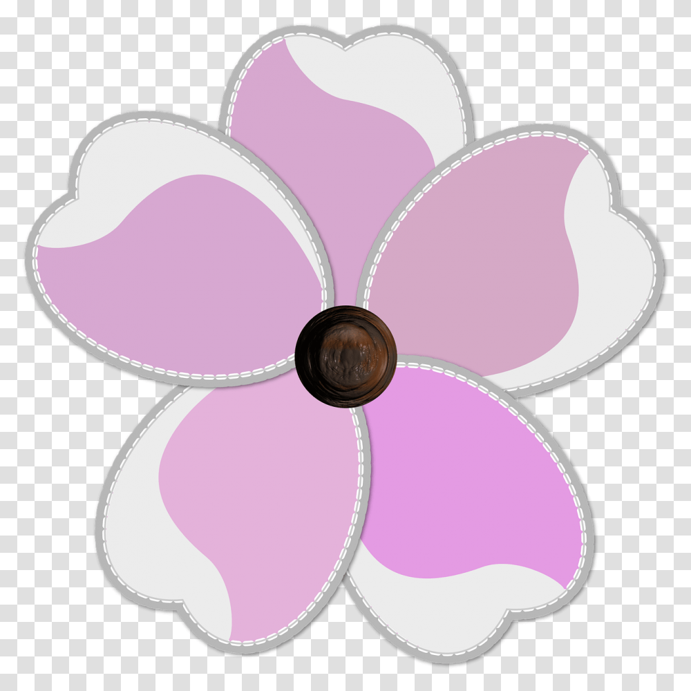 Flower, Petal, Plant, Blossom, Dahlia Transparent Png