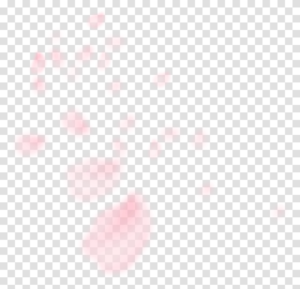 Flower, Petal, Plant, Blossom, Heart Transparent Png