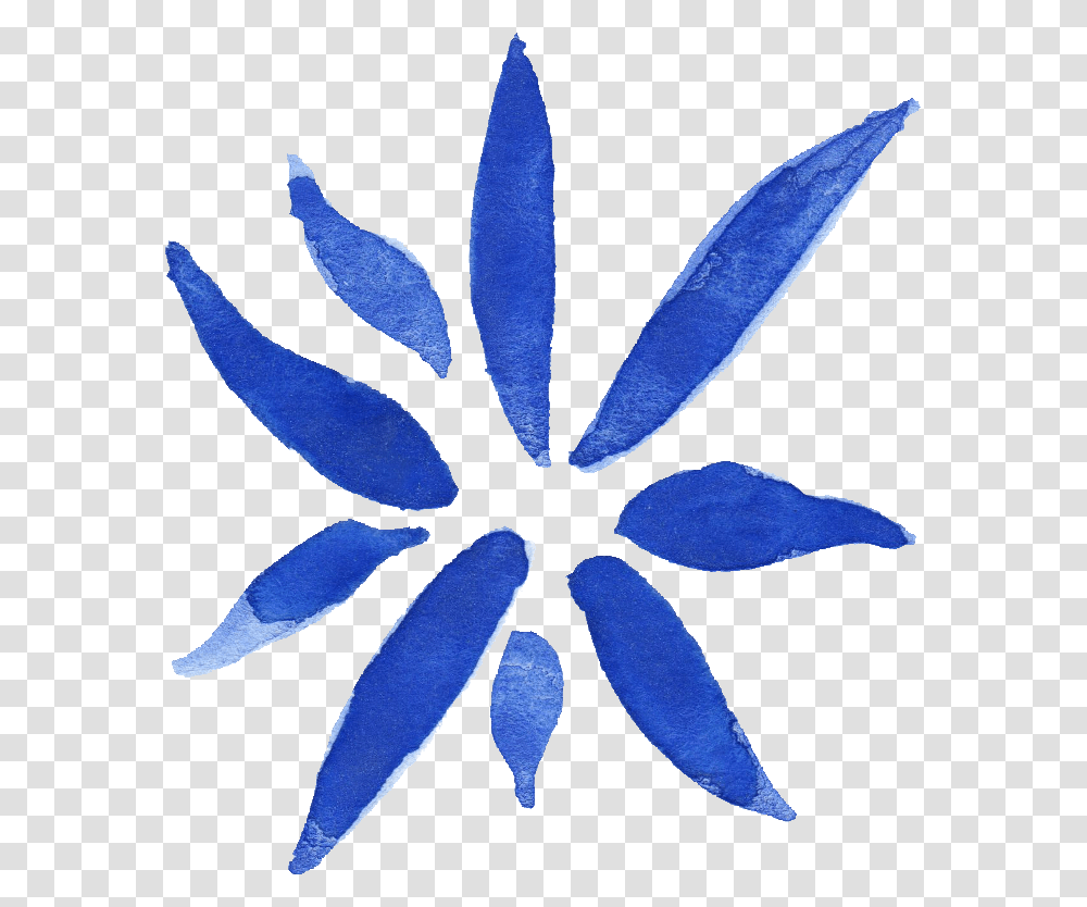 Flower, Petal, Plant, Blossom, Leaf Transparent Png