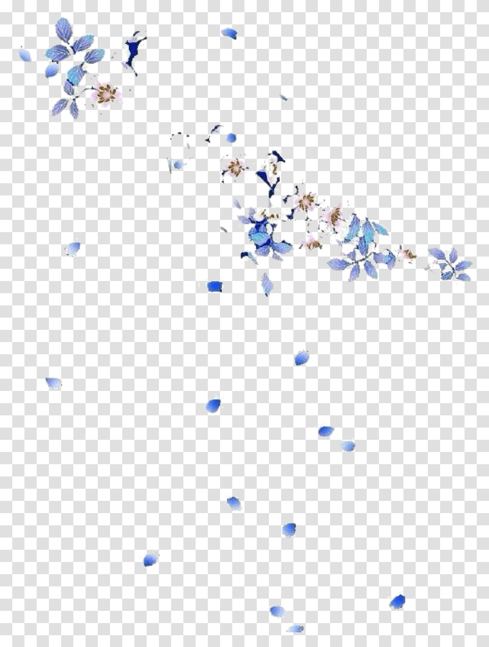 Flower Petal, Plant, Confetti, Paper, Blossom Transparent Png