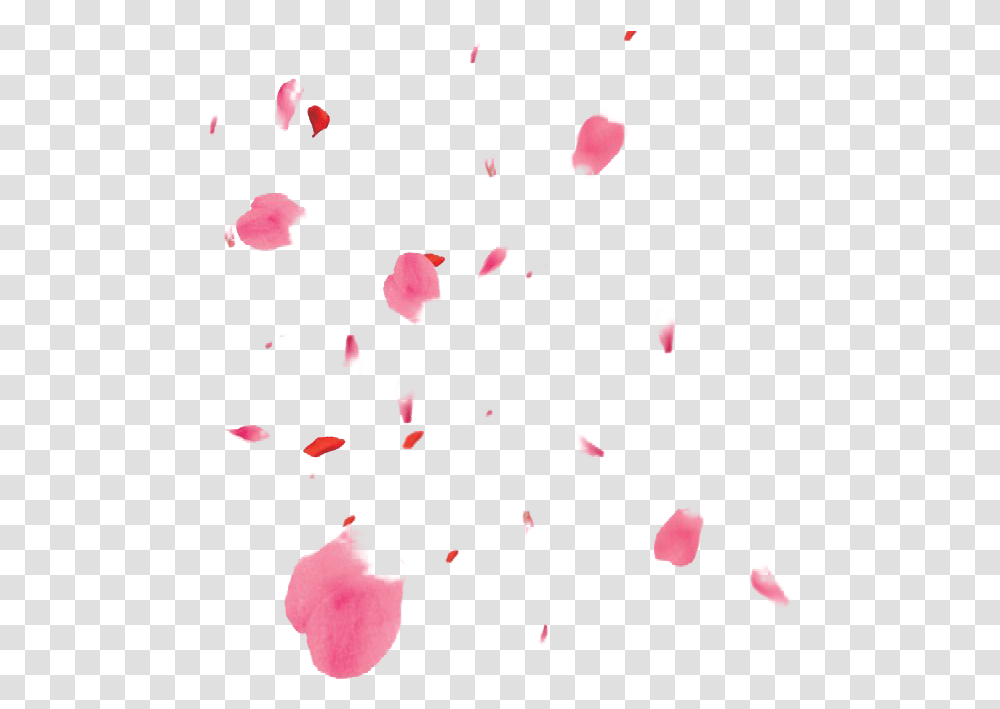 Flower Petals File Cherry Blossom Petals, Plant, Paper Transparent Png
