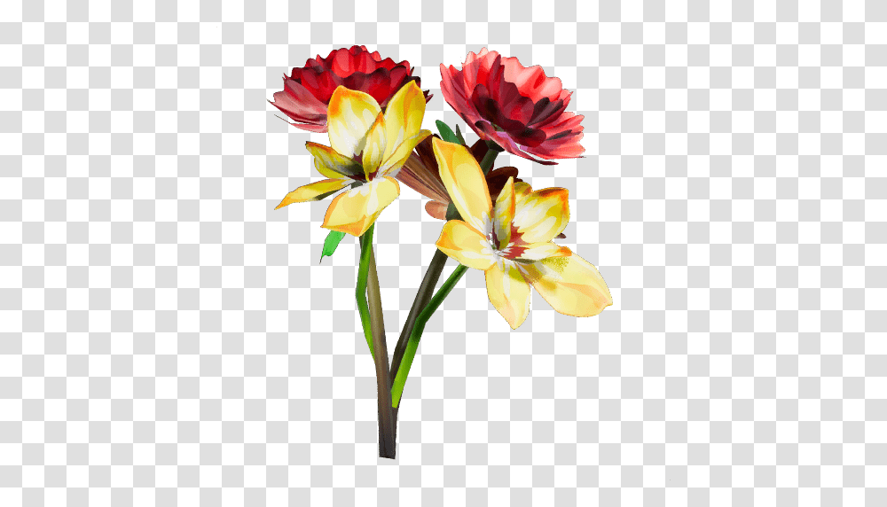 Flower Petals, Plant, Blossom Transparent Png