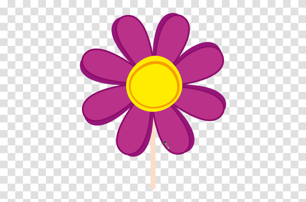 Flower Photo Booth, Plant, Blossom, Daisy, Daisies Transparent Png