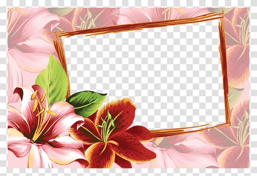 Flower Photo Frame Design, Plant, Blossom, Petal, Amaryllis Transparent Png