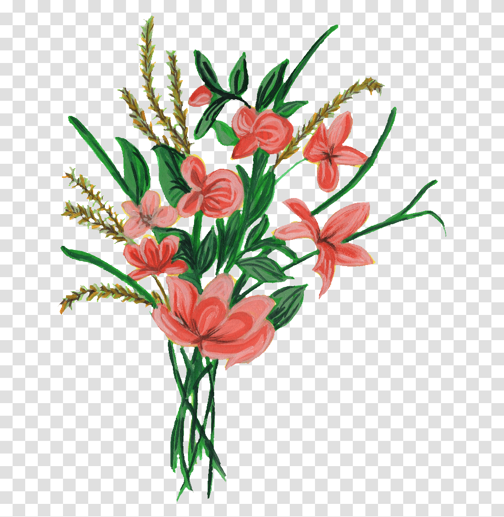 Flower Picture Format, Plant, Blossom, Flower Arrangement Transparent Png