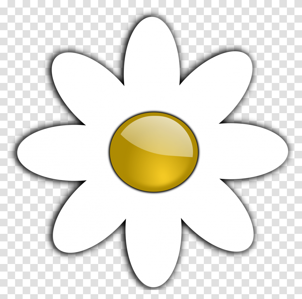 Flower Picture Free Download Cartoon, Plant, Blossom, Daisy, Daisies Transparent Png