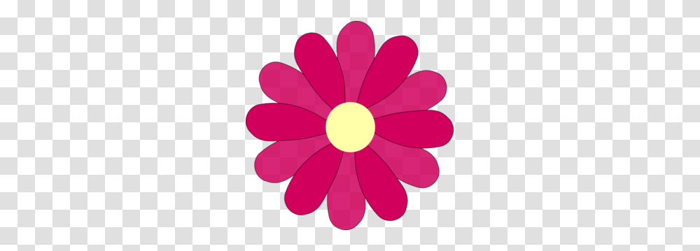 Flower Pink Clip Art, Petal, Plant, Blossom, Daisy Transparent Png