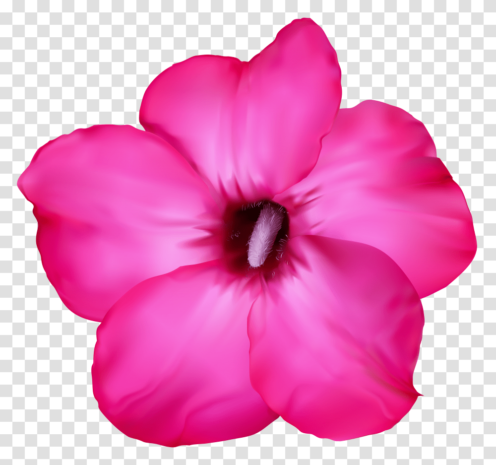 Flower Pink Clip Art Transparent Png