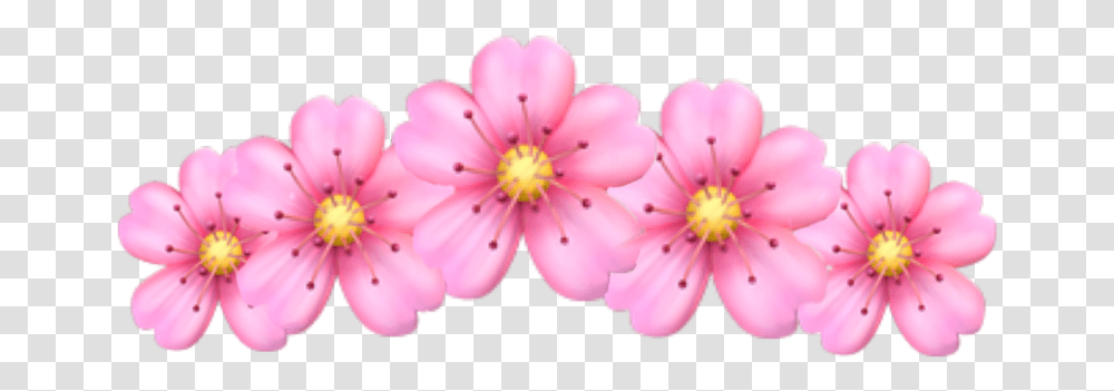Flower Pink Crown Flowercrown Sticker Pink Freetoedit Aesthetic Pink Heart Emoji, Anther, Plant, Blossom, Petal Transparent Png