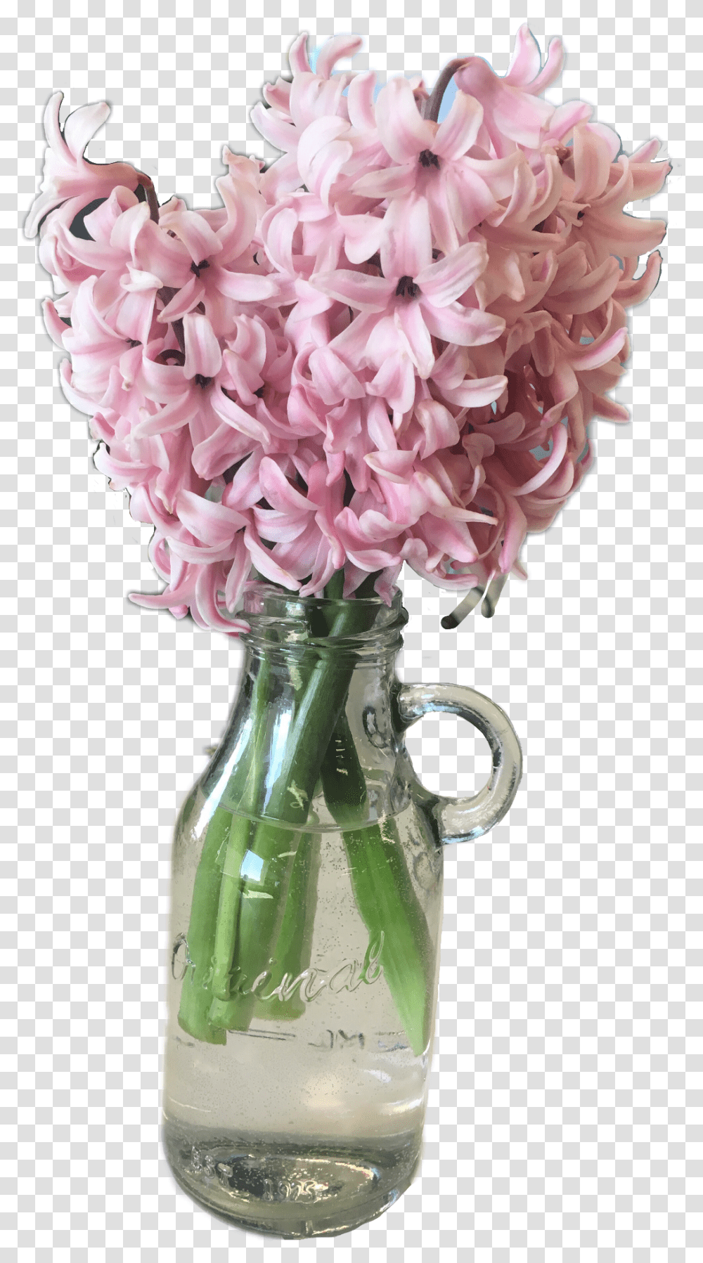 Flower Pink Hyacinth Ftestickers Spring April Hyacinth, Plant, Blossom, Flower Arrangement, Jar Transparent Png