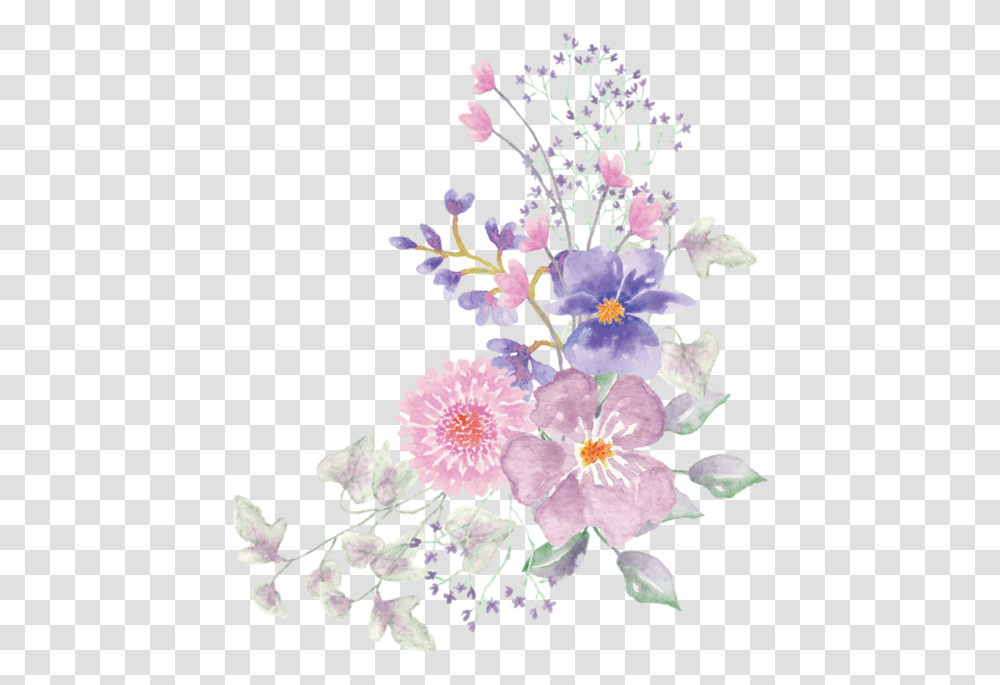Flower, Plant, Petal Transparent Png