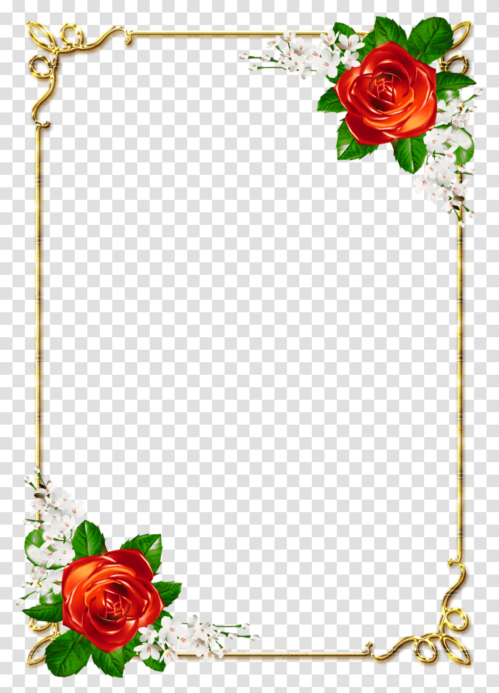 Flower, Plant, Blossom, Flower Arrangement, Flower Bouquet Transparent Png