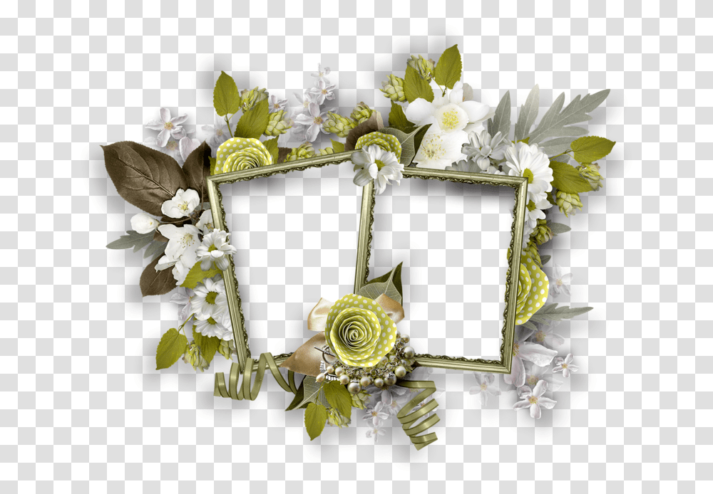 Flower, Plant, Blossom, Flower Arrangement, Ornament Transparent Png
