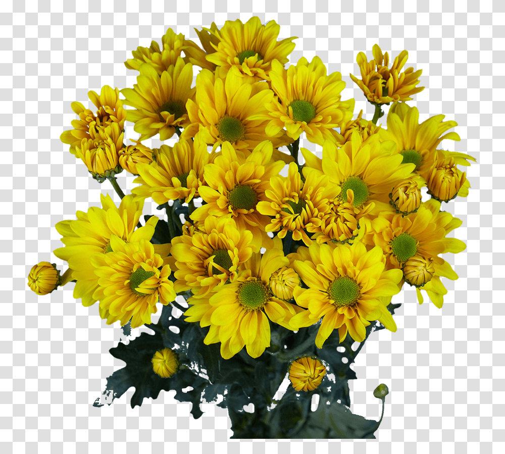 Flower, Plant, Blossom, Flower Bouquet, Flower Arrangement Transparent Png