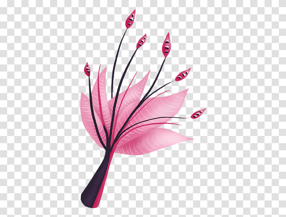 Flower, Plant, Blossom Transparent Png