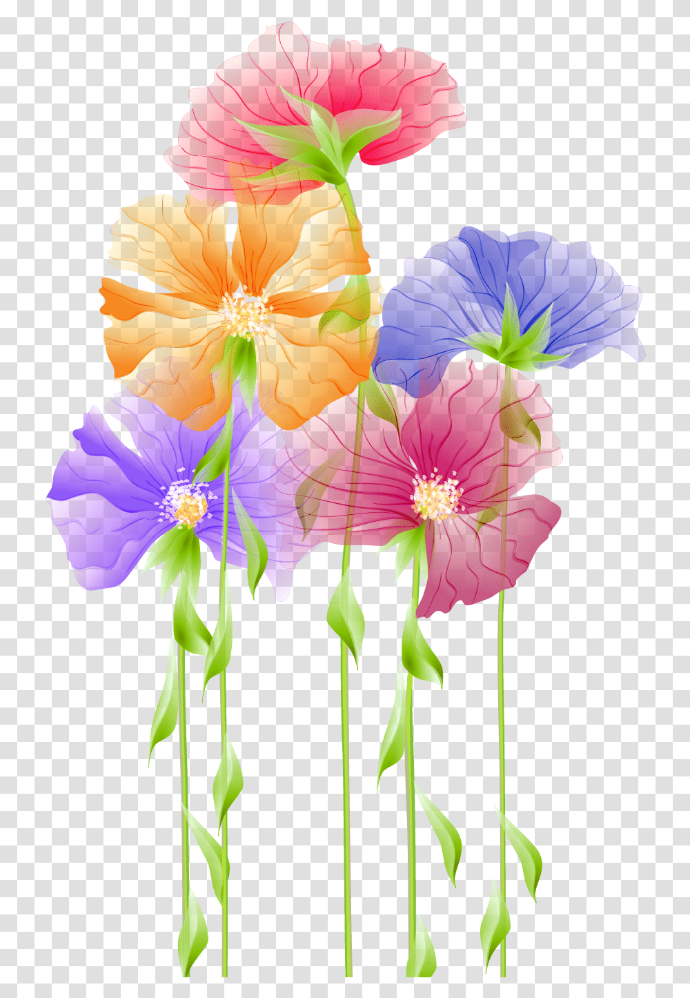 Flower, Plant, Blossom, Hibiscus, Anther Transparent Png