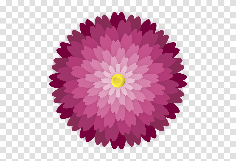 Flower, Plant, Blossom, Petal, Rug Transparent Png