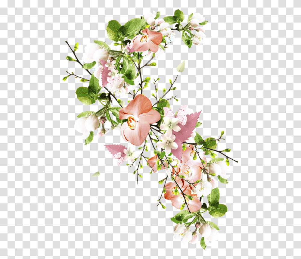 Flower, Plant, Blossom, Vase, Jar Transparent Png