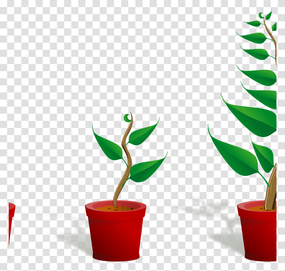 Flower Plant Clipart Plant 2 Growing 4444pxpng Cute Getting To Know Plants, Leaf, Soil, Bucket, Aloe Transparent Png