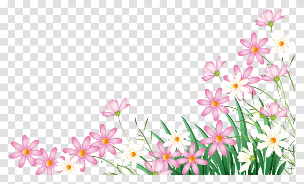 Flower Plant Garden Field Nature Foreground Background Flower Foreground, Blossom, Daisy, Daisies, Petal Transparent Png
