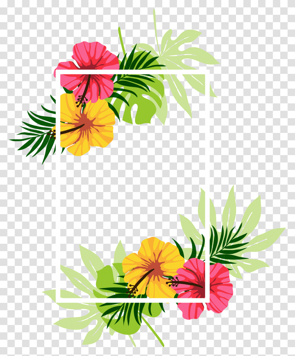Flower, Plant, Floral Design Transparent Png