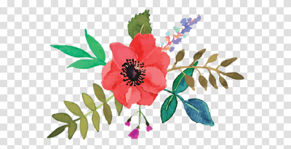 Flower, Plant, Hibiscus, Anther, Rose Transparent Png