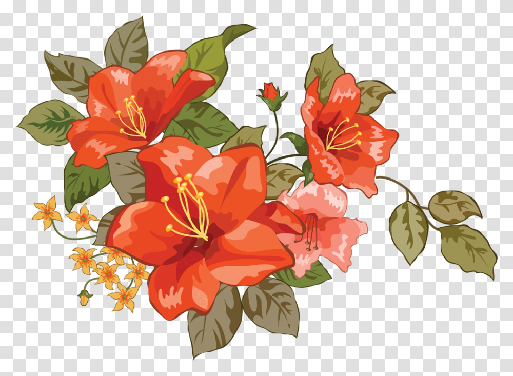 Flower, Plant, Hibiscus, Blossom, Painting Transparent Png