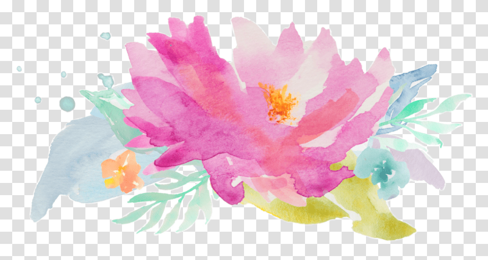 Flower, Plant, Leaf, Blossom, Petal Transparent Png