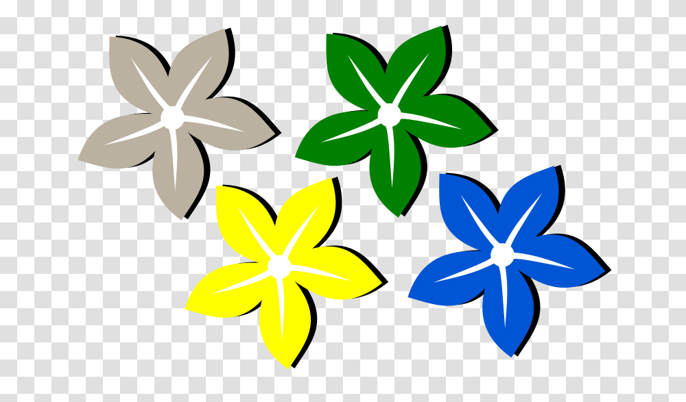 Flower, Plant, Petal, Blossom, Daisy Transparent Png