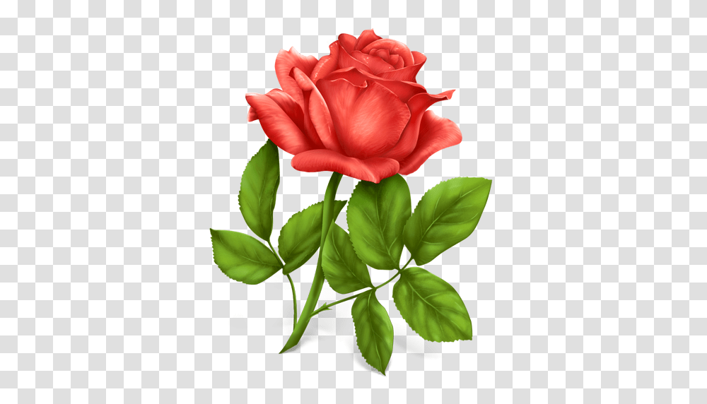 Flower Plant Rose Icon, Blossom, Petal, Flower Arrangement, Floral Design Transparent Png