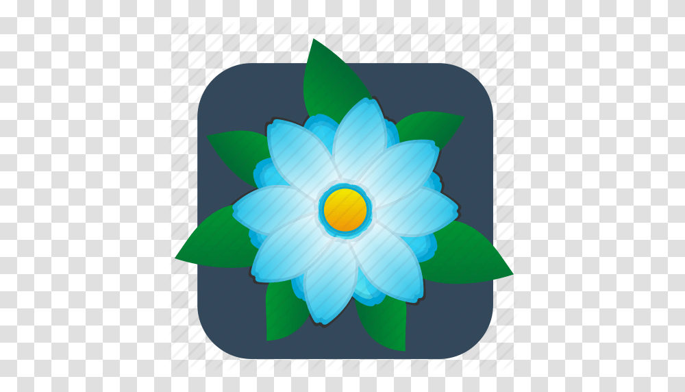 Flower Plant Top Icon, Anemone, Daisy, Pond Lily, Anther Transparent Png