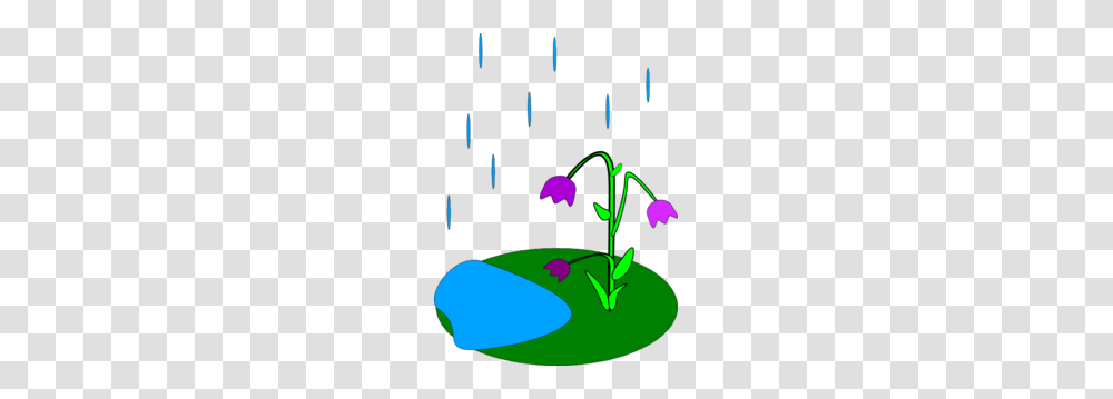 Flower, Plant, Tree Transparent Png